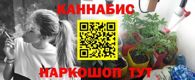спайс Владимир