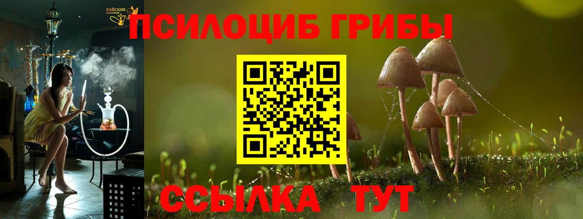 Галлюциногенные грибы GOLDEN TEACHER  где продают наркотики  Псилоцибиновые грибы Cubensis  Еманжелинск  Вход с VPN 